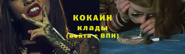 PSILOCYBIN Армянск